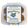 Vegan Blueberry Mini Muffins
